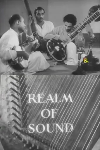Realm of Sound movie poster - Entertainment content