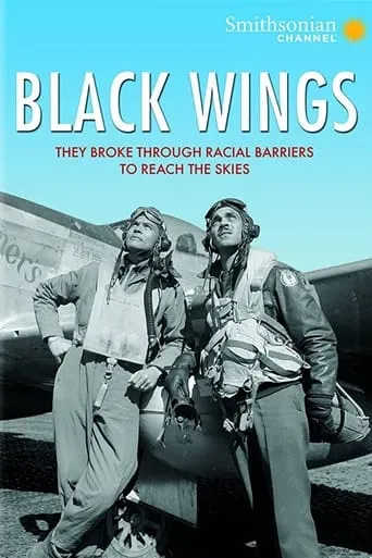 Black Wings movie poster - Rated 9/10