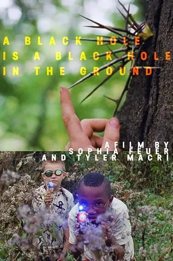 A Black Hole is a Black Hole in the Ground movie poster - Entertainment content