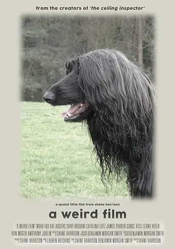 A Weird Film movie poster - Entertainment content
