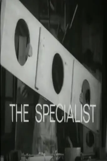 The Specialist movie poster - Rated 5.5/10