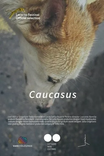 Caucasus movie poster - Rated 6.5/10