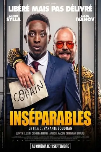 A Very Bad Friend movie poster - Rated 6.153/10