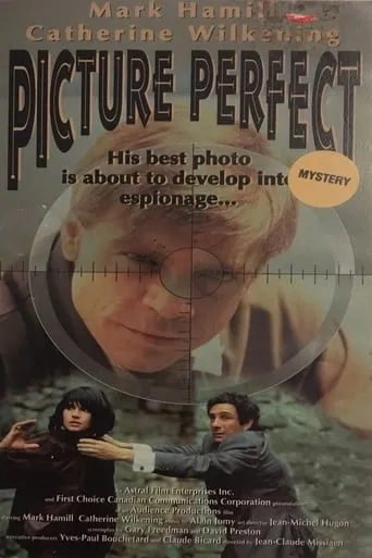 Picture Perfect movie poster - Entertainment content