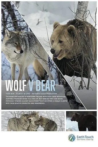 Wolf vs Bear movie poster - Rated 8/10