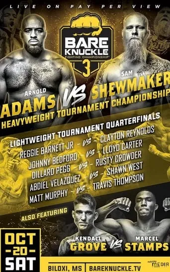 Bare Knuckle Fighting Championship 3 movie poster - Entertainment content