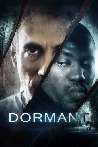 Dormant movie poster - Rated 3/10