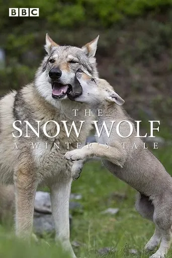 The Snow Wolf: A Winter's Tale movie poster - Rated 7.7/10