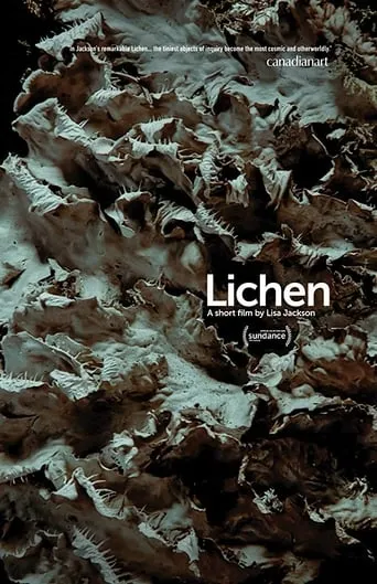 Lichen movie poster - Entertainment content