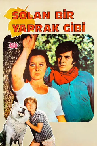 Solan Bir Yaprak Gibi movie poster - Rated 3/10