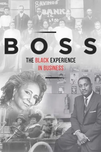 BOSS: The Black Experience in Business movie poster - Rated 6/10