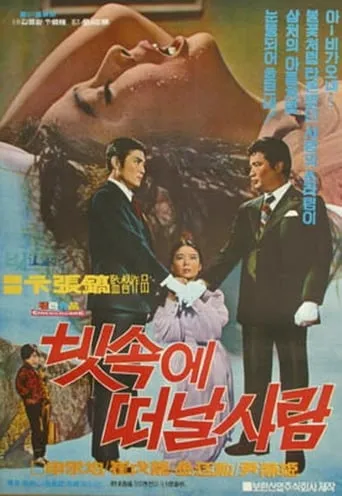 Leaving in the rain movie poster - Entertainment content
