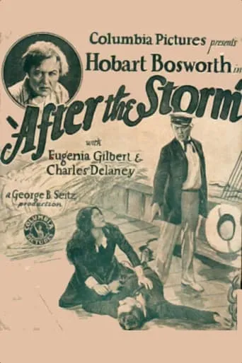 After the Storm movie poster - Entertainment content