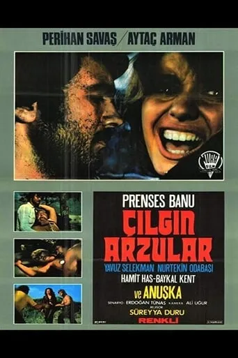 Çılgın Arzular movie poster - Rated 4/10