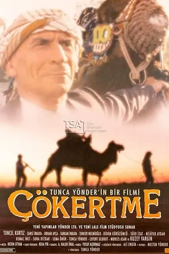 Çökertme movie poster - Entertainment content