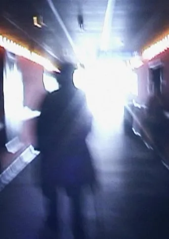 Stan Brakhage Exits the Cinema and Enters the Light of Day movie poster - Rated 7.6/10