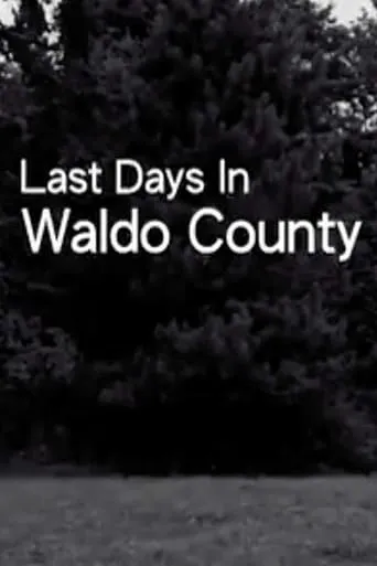 Last Days In Waldo County movie poster - Entertainment content