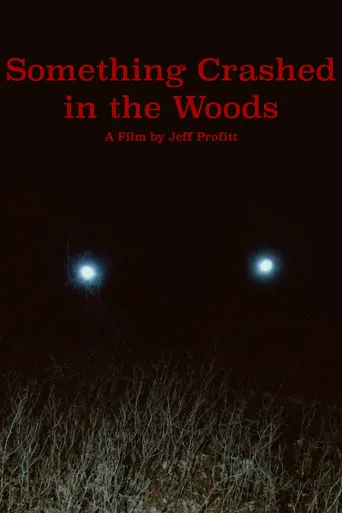 Something Crashed in the Woods movie poster - Rated 2/10