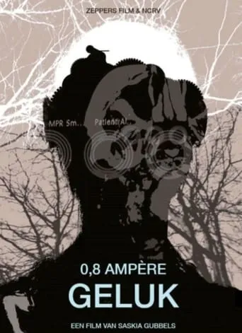 0.8 Amps of Happiness movie poster - Entertainment content