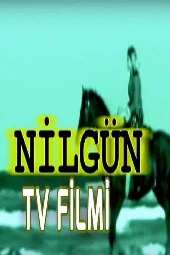 Nilgün movie poster - Entertainment content