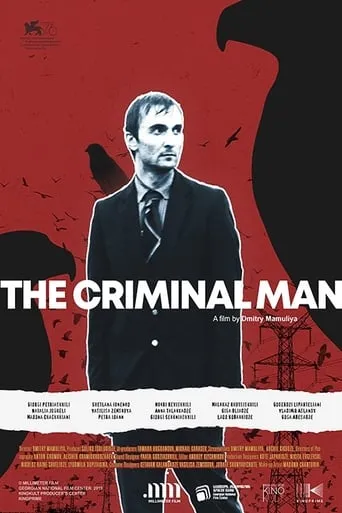The Criminal Man movie poster - Rated 4.2/10