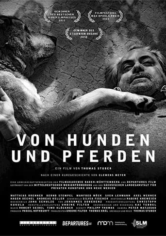 Of Dogs and Horses movie poster - Entertainment content
