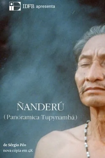 Ñanderú - Panorâmica Tupinambá movie poster - Entertainment content