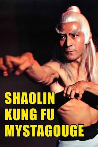 Shaolin Kung-Fu Mystagogue movie poster - Rated 6.3/10