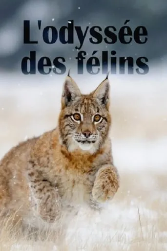 The Odyssey Of Felines movie poster - Entertainment content