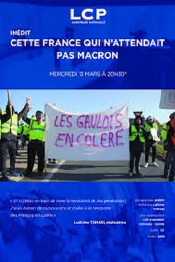 Cette France qui n’attendait pas Macron movie poster - Entertainment content