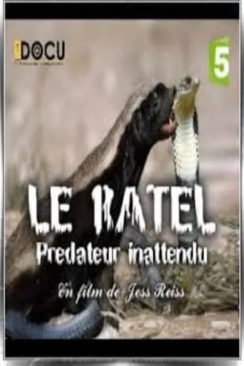 Le ratel prédateur inattendu movie poster - Entertainment content