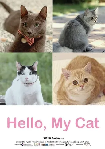 Hello, My Cat movie poster - Rated 6/10