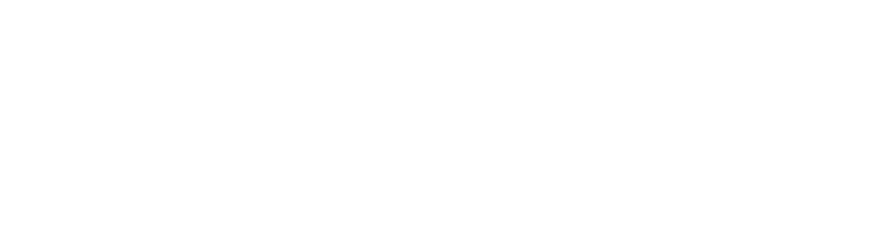 The Fatal Raid