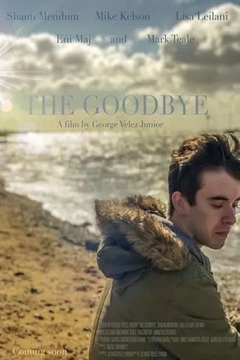 The Goodbye movie poster - Rated 4.8/10
