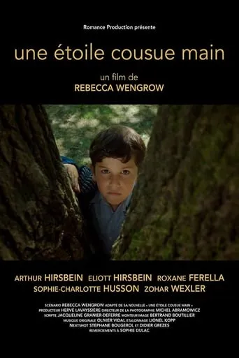A Hand Sewn Star movie poster - Entertainment content