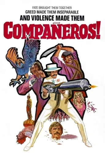 Compañeros movie poster - Rated 6.6/10