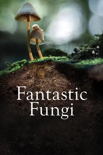 Fantastic Fungi movie poster - Rated 7.2/10