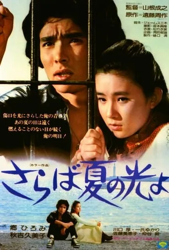 Light and Shade of Youth movie poster - Entertainment content