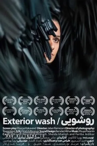 Exterior Wash movie poster - Rated 7/10