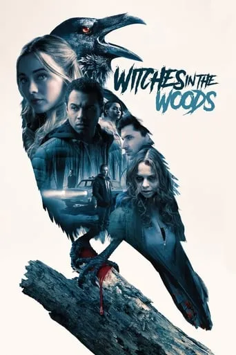 Witches in the Woods movie poster - Rated 5.584/10