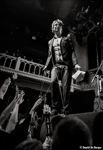 Babyshambles Live at AB - Ancienne Belgique movie poster - Entertainment content