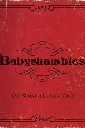 Oh! What a Lovely Tour - Babyshambles Live movie poster - Entertainment content
