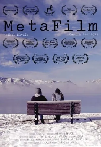 MetaFilm movie poster - Rated 5/10