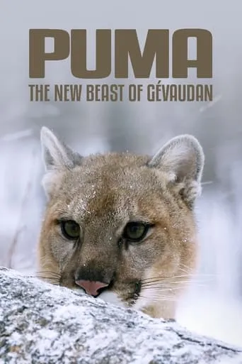 Cougar: On the Trail of the Ghost Cat movie poster - Rated 8/10