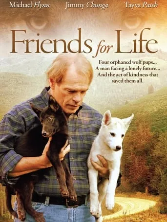 Friends for Life movie poster - Rated 6.3/10