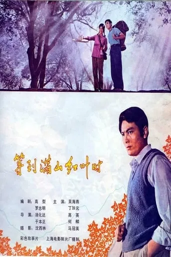 等到满山红叶时 movie poster - Rated 6/10
