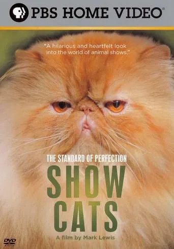 The Standard of Perfection: Show Cats movie poster - Entertainment content