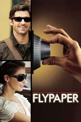 Flypaper movie poster - Rated 6.4/10