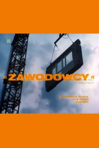 Zawodowcy movie poster - Entertainment content