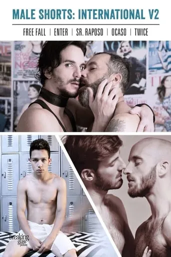 Male Shorts: International V2 movie poster - Rated 10/10